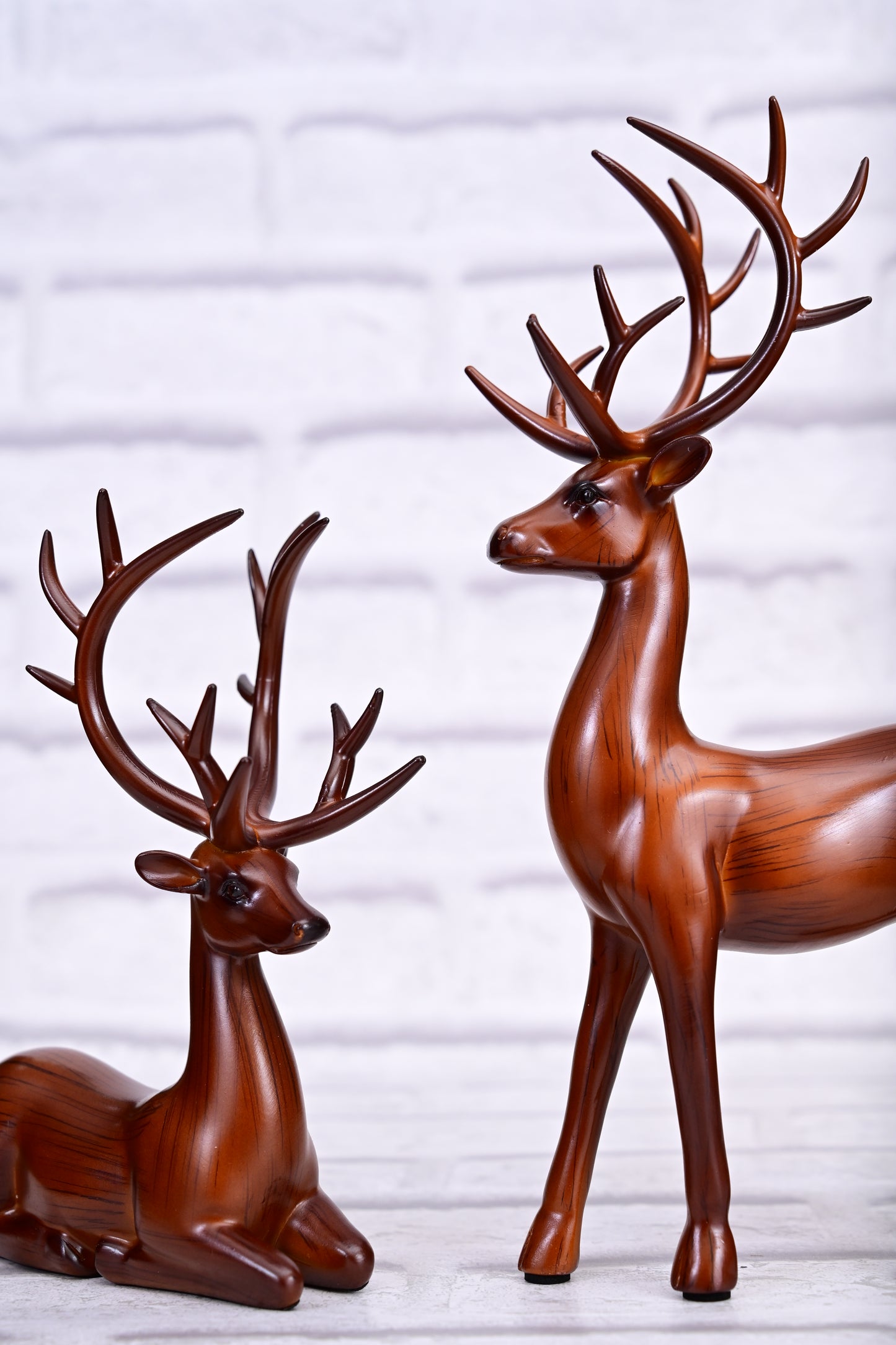 Regal Deer Duo – The Grace of Nature in Motion
